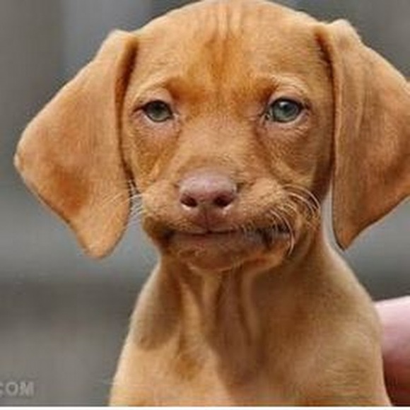 Meet your Posher, Kim - Picture 2 of 2